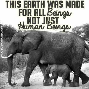 Meet your Posher, Sherry